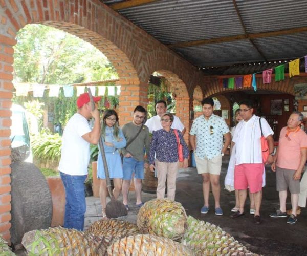 From Puerto Vallarta: El Tuito Tour with Lunch – Puerto Vallarta, Mexico