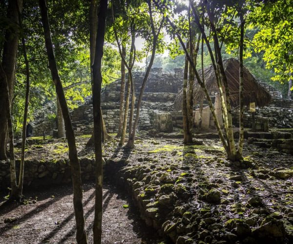 From Riviera Maya & Cancun: Guided Tour to Coba Maya Ruins – Cancun, Mexico