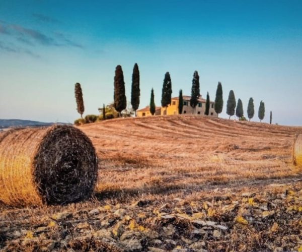 From Rome: Montepulciano and Pienza Tour with Wine Tasting – Rome, Italy