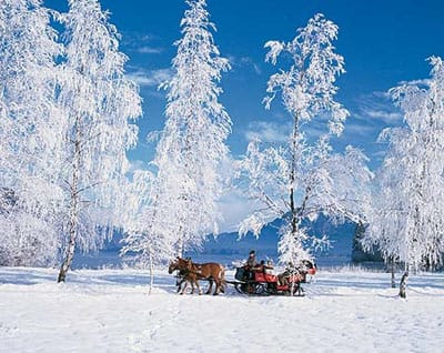 From Salzburg: 8-Hour Tour with Horse-Drawn Sleigh Ride – Upper Austria, Austria