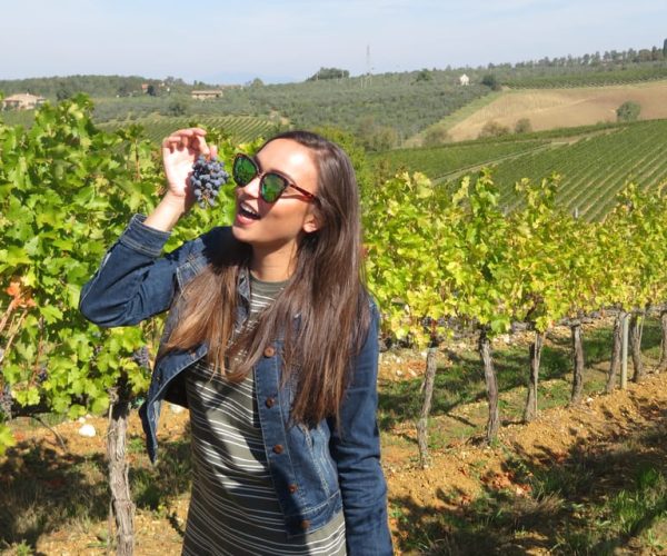 From San Gimignano: Half-Day Chianti Wine tour – Tuscany, Italy