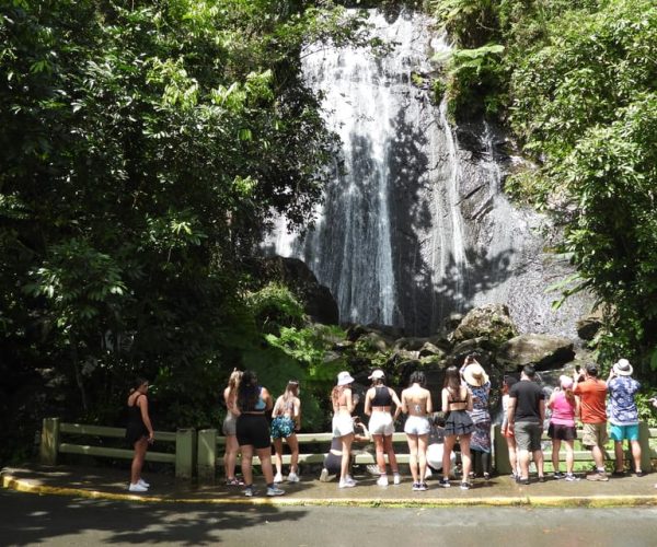 From San Juan: Rainforest Walk, Nature Swim & Luquillo Beach – Luquillo, Puerto Rico