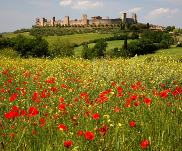 From Siena: Chianti Countryside E-Bike Tour w/ Lunch & Wine – Tuscany, Italy