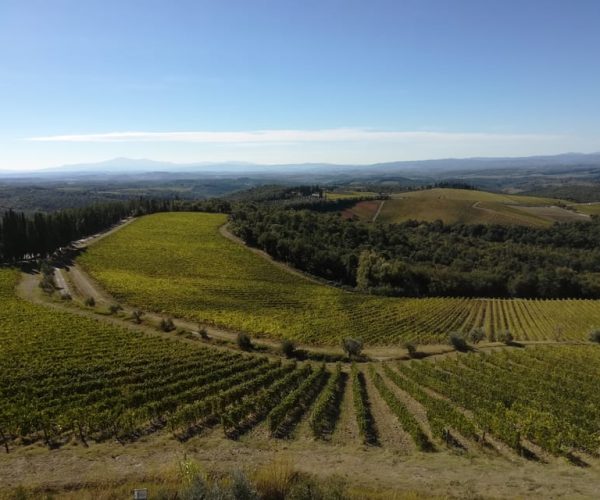 From Siena: Chianti Wine Tour with Lunch – Tuscany, Italy