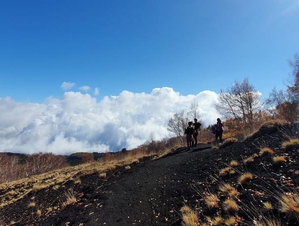 From Taormina or Catania: Private Full-Day Mount Etna Hike – Catania, Italy