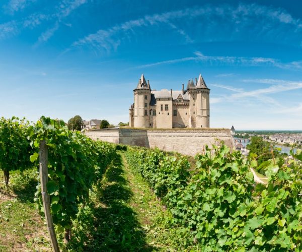 From Tours: Loire Valley Wineries Day Trip with Tastings – Centre-Val de Loire, France