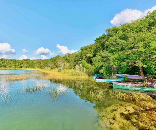 From Tulum: Punta Laguna Nature Reserve, Cenote & Cobá Tour – Tulum, Mexico