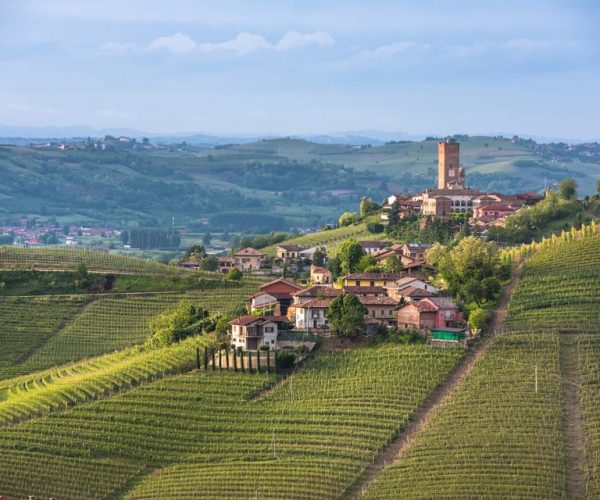 From Turin: Half-Day Truffle Hunting and Lunch in Piedmont – Piedmont, Italy