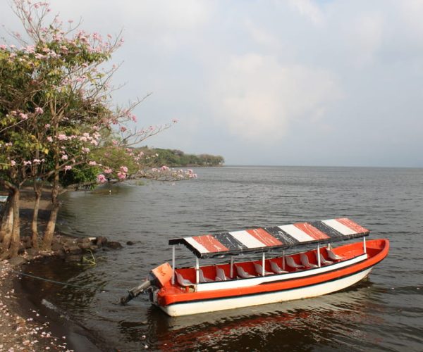 From Veracruz: Catemaco, Nature, Waterfalls & Monkeys Tour – Veracruz (State), Mexico