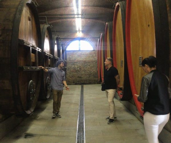 Full-Day Langhe Region Tour with Wine Tasting Experience – Piedmont, Italy