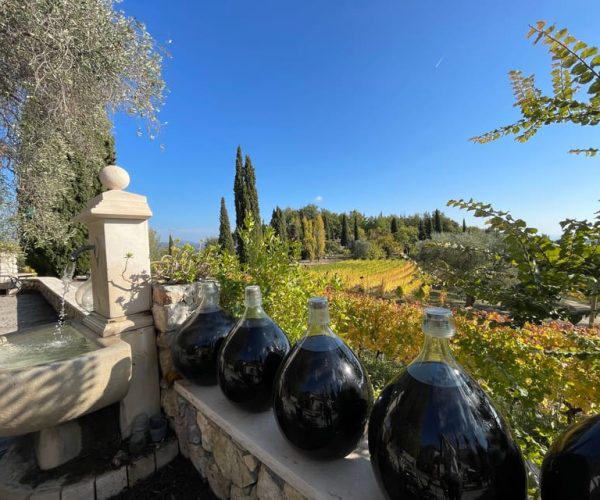 Full-Day Wine Tour in Bellet & Saint-Paul de Vence From Nice – Provence-Alpes-Côte d’Azur, France