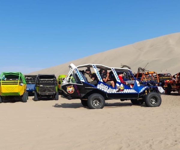 Full day Paracas- Ica – Huacachina – Ica, Peru