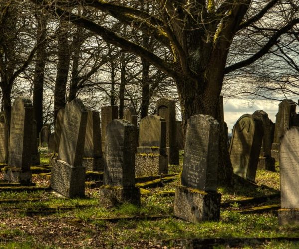 Galveston: Old City Cemetery Walking Tour with Local Guide – Galveston, Texas