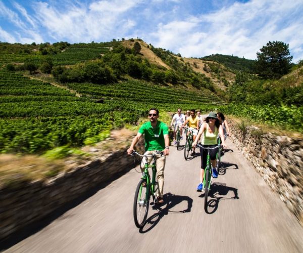 Grape Grazing: Wachau Valley Winery Biking Tour – Vienna, Austria