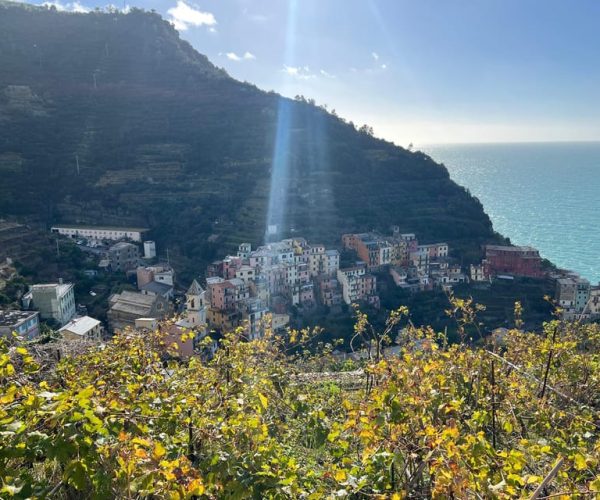 Guided Cinque Terre Hiking day from Florence – Florence, Italy