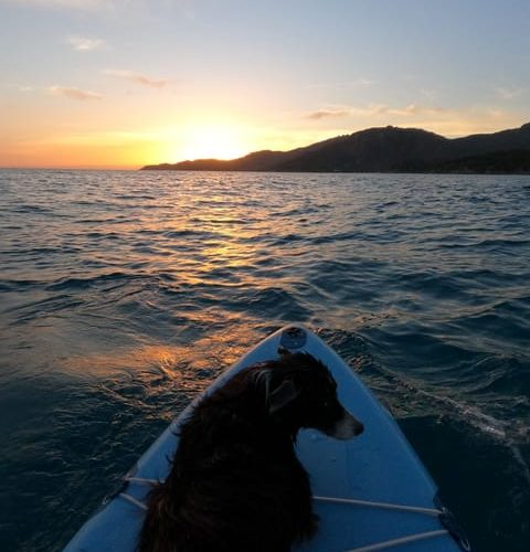 Guided Stand Up Paddle Tour at Villasimius – Sardinia, Italy