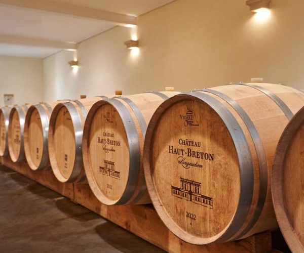 Guided tour and tasting at the barrel – Nouvelle-Aquitaine, France