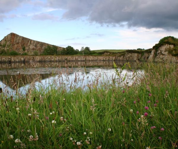 Hadrian’s Wall: 2-Hour Guided Tour – England, United Kingdom