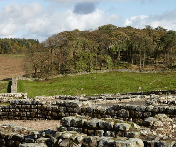 Hadrian’s Wall: Housesteads Roman Fort Entry Ticket – England, United Kingdom