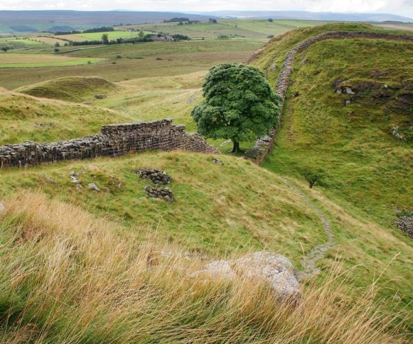 Hexham: Hadrian’s Wall and The Romans Full Day Guided Tour – England, United Kingdom