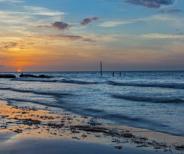 Holbox: Guided Bioluminescence Kayaking Tour – Quintana Roo, Mexico