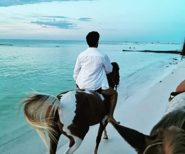 Holbox: Guided Horseback Ride on the Beach – Quintana Roo, Mexico