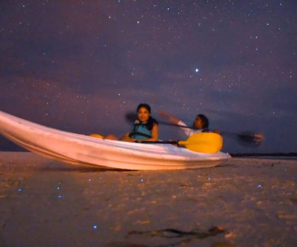 Holbox: Stars and Bioluminescent Marine Life Kayaking Tour – Quintana Roo, Mexico