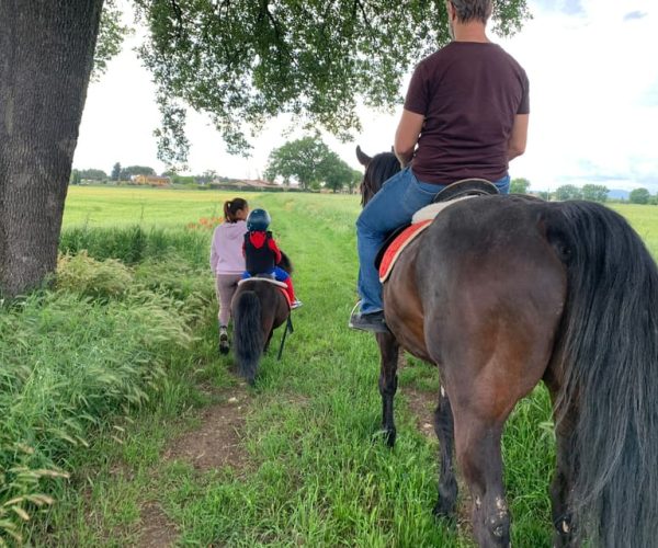 Horse Riding Through The valleys + food tasting – Umbria, Italy