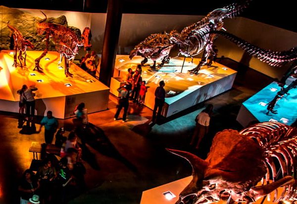 Houston: 1-Day or 3-Day Museum Pass – Houston, Texas