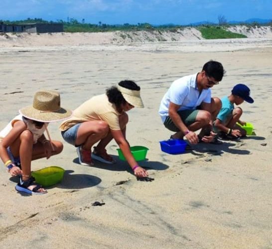 Huatulco: Private Turtle Release Experience – Oaxaca, Mexico