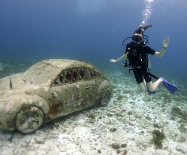 Isla Mujeres: 2-Tank Dive for Certified Divers – Quintana Roo, Mexico