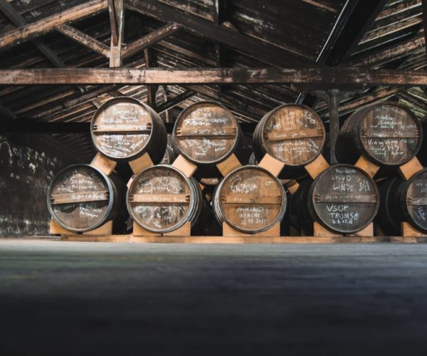 Jarnac: Braastad cognac prestige visit – Nouvelle-Aquitaine, France