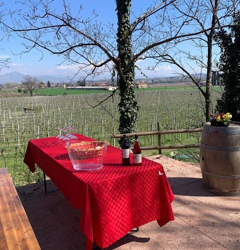 Lazise: Biodynamic Farm Tour and Natural Wine Tasting – Veneto, Italy