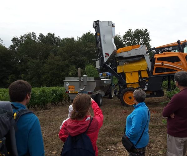 Loire Valley: Vouvray Vineyard Tour and Wine Tasting – Centre-Val de Loire, France