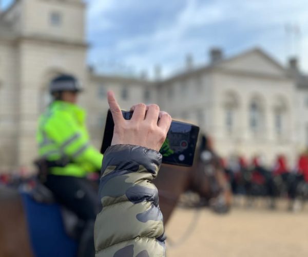 London: Changing of the Guard Private Group or Family Tour – London, United Kingdom