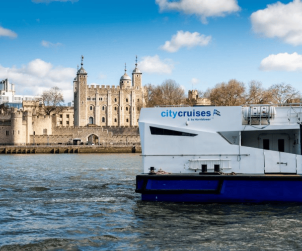 London: Landmarks Walking Tour w Hop-On Hop-Off Bus & Cruise – London, United Kingdom