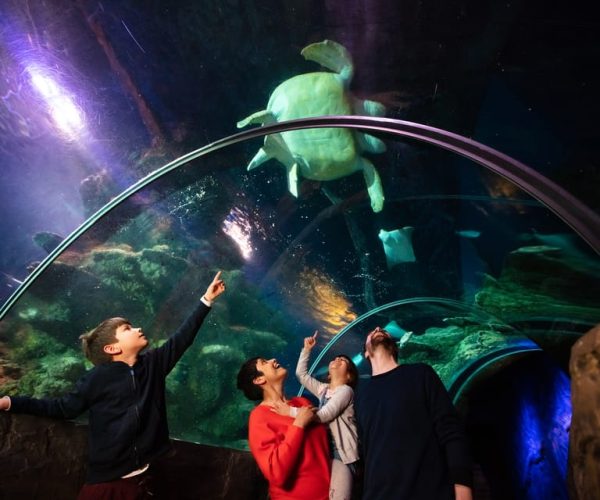 London: Madame Tussauds, London Eye & SEA LIFE Combo Ticket – London, United Kingdom