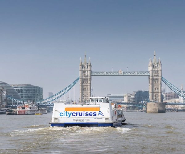 London: River Thames Hop-On Hop-Off Sightseeing Cruise – London, United Kingdom