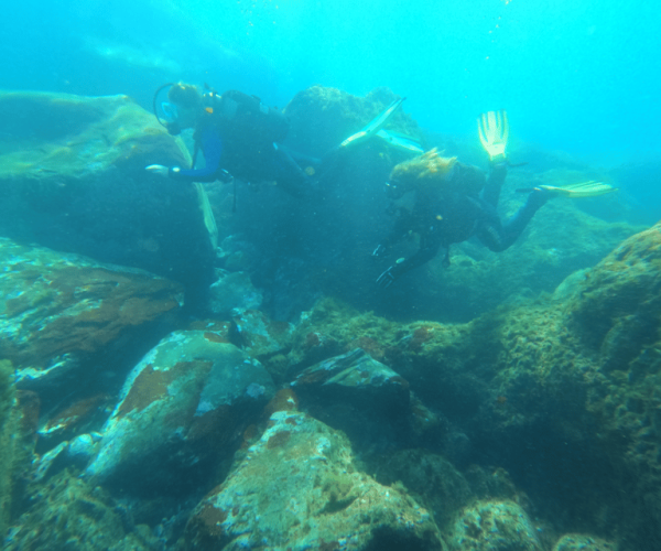 Los Cristianos: Basic Diver Course – Canary Islands, Spain