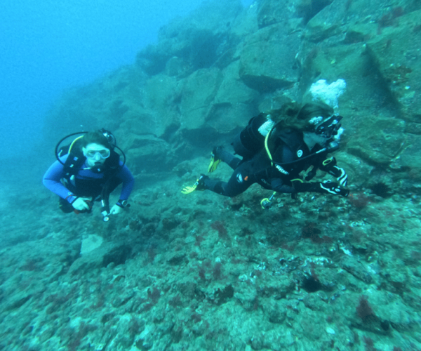 Los Cristianos: Scuba Diver Course – Canary Islands, Spain