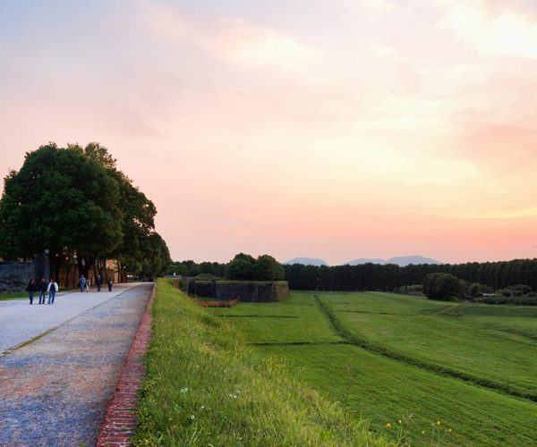 Lucca: Bicycle Rental with Picnic Lunch at a Vineyard – Tuscany, Italy