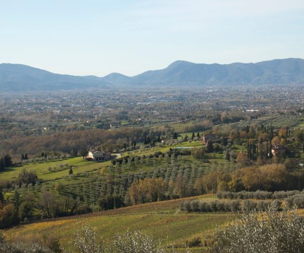 Lucca: Trekking Bike Rental – Tuscany, Italy