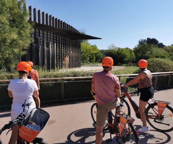 Lyon: 2-Hour Electric Bike Tour with a Local Guide – Auvergne-Rhône-Alpes, France