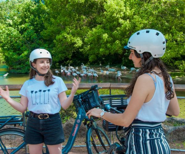 Lyon : Discovery of the Tête d’Or Park by bike – Auvergne-Rhône-Alpes, France