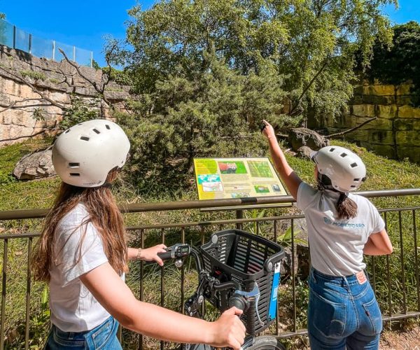 Lyon: Parc Tête d’Or Bike Tour – Auvergne-Rhône-Alpes, France