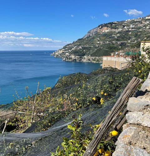 Maiori: Path of Lemons Immersive Walking Tour with Tasting – Campania, Italy