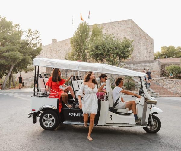 Malaga: City Tour by Private Eco Tuk Tuk – Andalusia, Spain