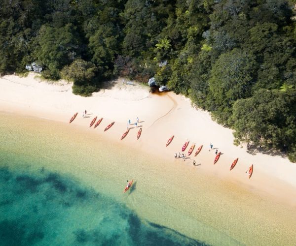 Manly: Mini Kayak Tour on Sydney’s North Harbour – Sydney, Australia