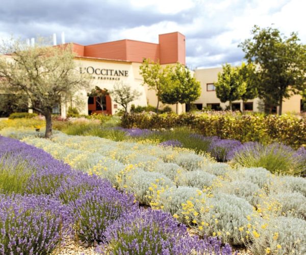 Manosque: L’Occitane en Provence Guided Factory Tour – Provence-Alpes-Côte d’Azur, France