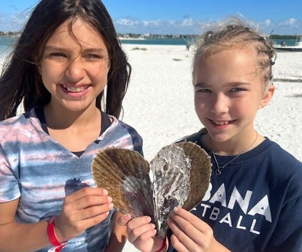 Marco Island: Barrier Island Shelling and Mangrove Tour – Morgan Island, Florida